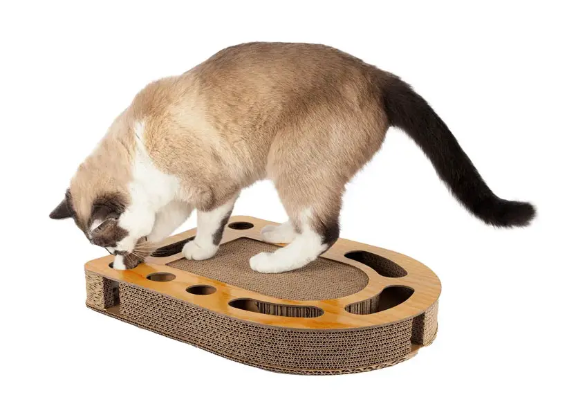 Archway Busy Box Cat Scratching Board