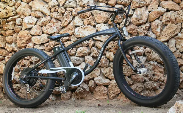 easy rider electric bike