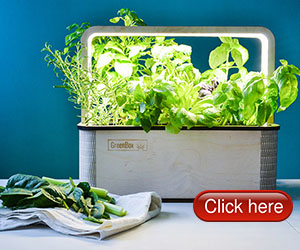 GreenBox Automatic Smart Indoor Garden with Smart App