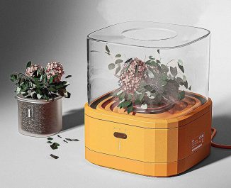 Floral Planting Kit Helps You Grow Flowering Plant at Home