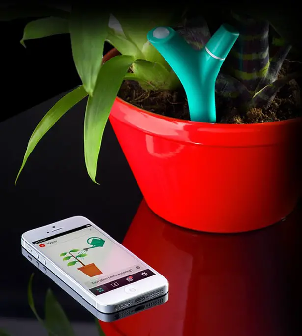 Parrot Flower Power : Most Advanced Plant Sensor Yet!