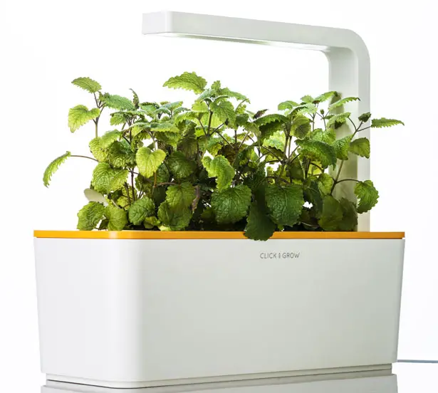 Grows Herbs and Plants with Smart Herb Garden In Your Small Apartment