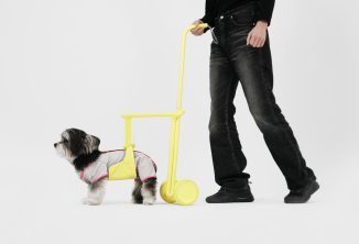 Modern Steady Walking Aid for Senior Dogs with Walking-Related Issues